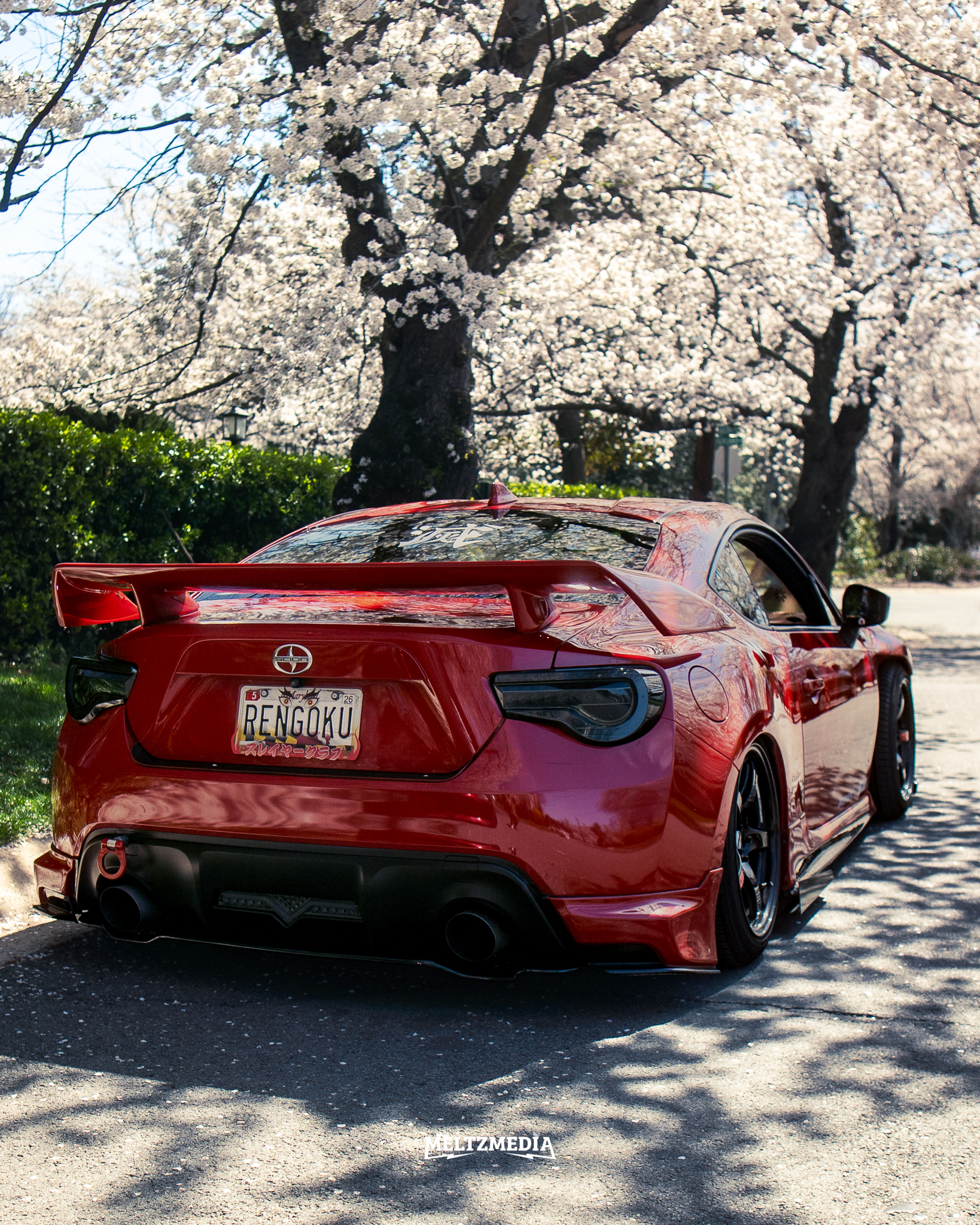 Scion Frs